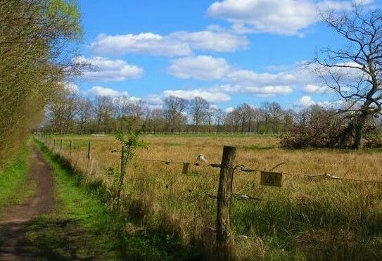 Direkt am Naturschutzgebiet: Ihr Bauplatz für eine Doppelhaushälfte