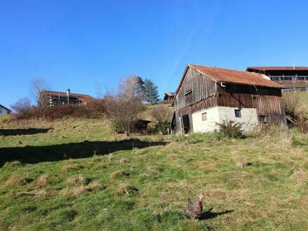 Parzellierbares Baugrundstück mit 2.525 m² in ruhiger, herrlicher Aussichtslage von Regen