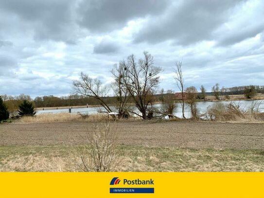 Wassergrundstück an der Wriezener alten Oder