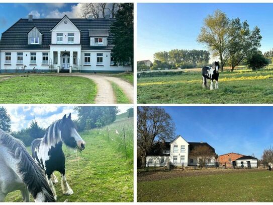 Modernisierter Landhof mit Wohn- und Gewerbeanteil, Stallungen, 5 ha Weideland OTTO STÖBEN GmbH