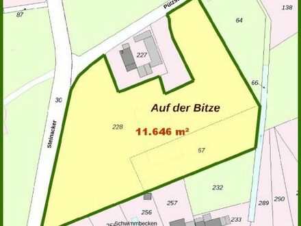 Bad Honnef: 11. 646 m² Traumgrundstück mit Entwicklungspotential