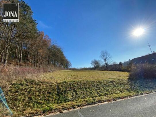 Ländliche Idylle - großzügiges Grundstück mit Wiese und Wald in Kirchleus