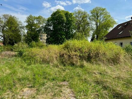 Grundstücke in der Feldberger Seenlandschaft