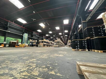 Lager- /Produktionshalle ca. 2.500 m², in 32863 Barntrup ab 01.06.2024 zu vermieten