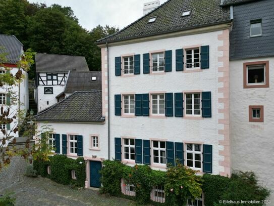 Historisches Stadthaus-Juwel, saniert, auf 5 Ebenen: Wohnen, Arbeiten, Ausstellen, ges. 234 m² ...