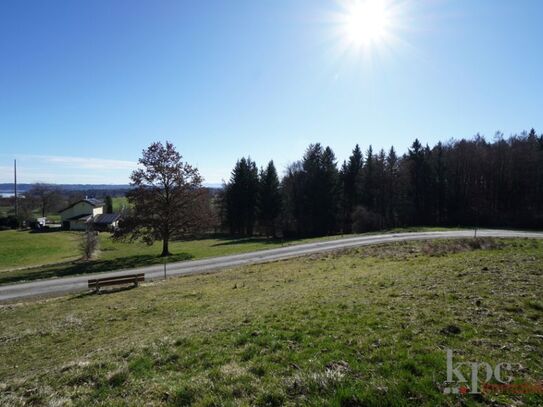 Tutzing/Unterzeismering - Wald- und Wiesenfläche oder Weidegrund mit Seeblick!