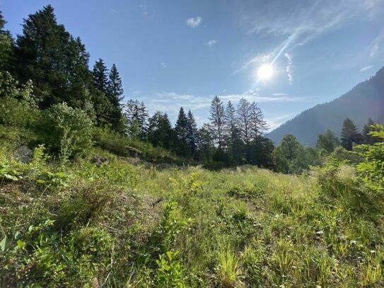 SCHLIERSEE - Grundstück mit Baugenehmigung für ein Villen-Ensemble in herrschaftlicher Lage!