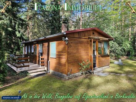 Ab in den Wald, Wochenendhaus nebst Garage auf Eigentumsland