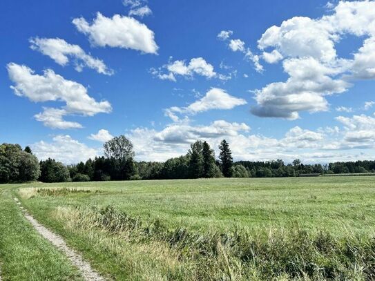 Idyllisches gemischtes Waldgrundstück mit herrlicher Aussicht!