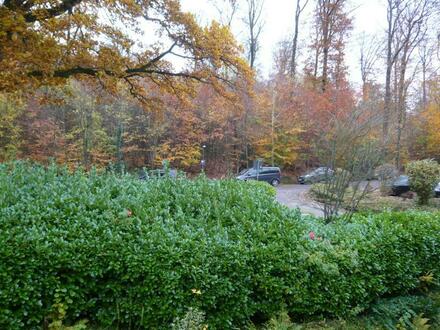 WALDBLICK: 3-Zimmer-Eigentumswohnung mit Balkon am Waldrand