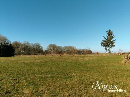 Noch zu teilendes ca. 1.250m² großes Grundstück mit ca. 4.000m² Gartenland in Ostseenähe