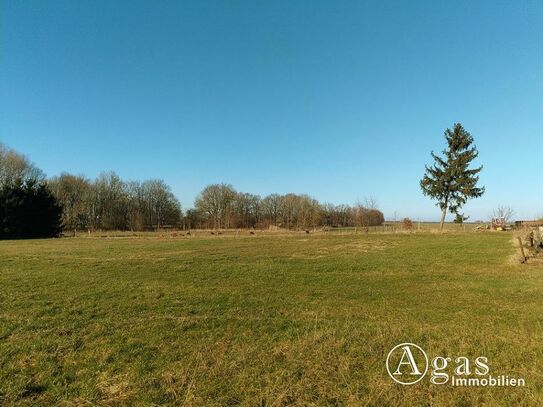 Noch zu teilendes ca. 1.250m² großes Grundstück mit ca. 4.000m² Gartenland in Ostseenähe