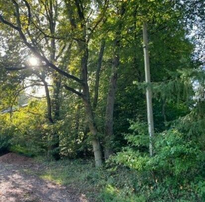 HÜTTERSDORF : 1815 m² GRUNDSTÜCK mit Baumbestand im WOCHENENDHAUS - GEBIET !