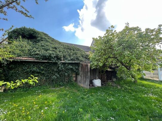 HEMING-IMMOBILIEN - Grundstück im Herzen von Schornsheim mit vielen Möglichkeiten!!!