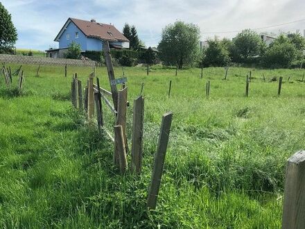 Großes, teilbares Baugrundstück im Ortskern