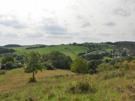 Idyllisches Wiesengrundstück in schöner Halbhöhenlage mit Rundum-Fernblick in die Eifel!