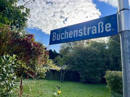 ca. 1.482 m² Baugrundstück mit Abbruchobjekt in Langenargen-Bierkeller