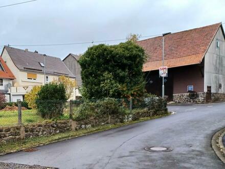 +++ Bauernhaus mit großem Nebengebäude +++