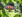 Gediegenes Einfamilienhaus mit traumhaft schönem Garten