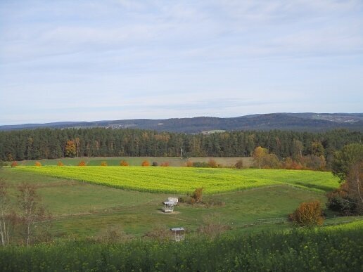 Ausgleichfläche, Pferdekoppel, landw. Fläche bei Neunburg vorm Wald