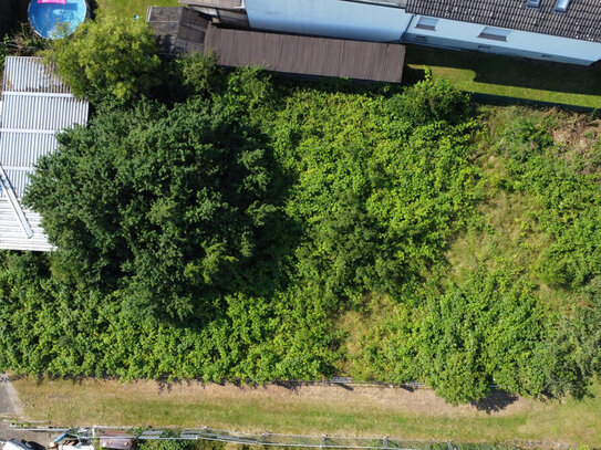 Traumhaftes Baugrundstück in begehrter Wohnlage in Freigericht Somborn!