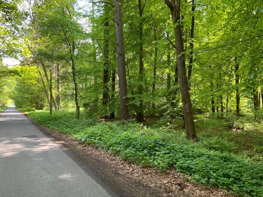 4 Waldgrundstücke zusammenhängend, auch einzeln zu verkaufen