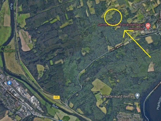 Ihr nachhaltiger Energiemix: Holz aus eigenem Wald für effizientes Zuheizen