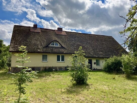 Reetgedecktes Landhaus sucht Naturliebhaber