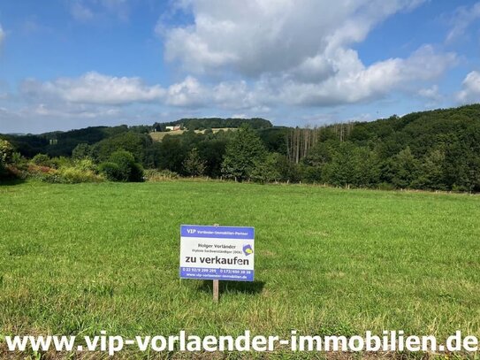 Traumgrundstück in Höhenlage von Windeck! VIP-1388-L