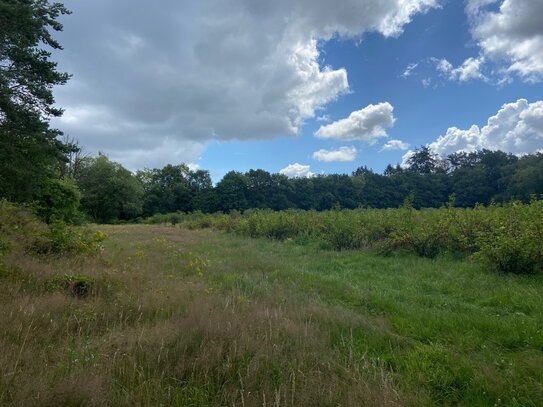 DEMETER Obsthof, Nordheide, Rade, ca. 4 ha, traumhafte Lage, Demeter zertifiziert