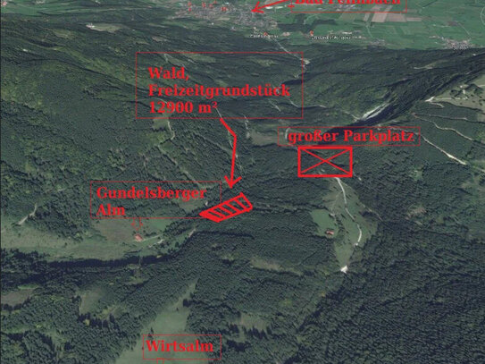 Sehr schönes Wald - Forstgrundstück mit teils 100 jährigen Baumbestand und eigener Zufahrt zu verkaufen.