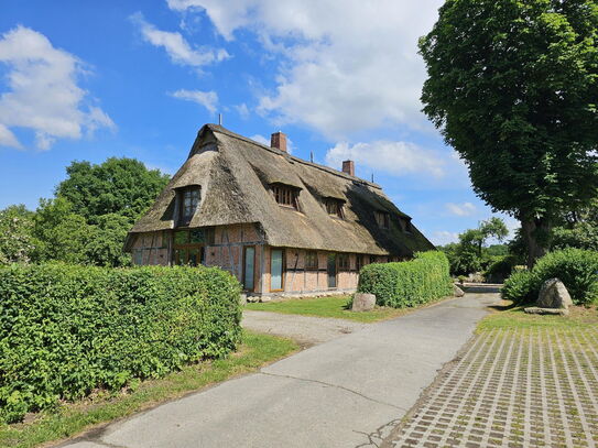 Reetdachkate als Ein- oder Zweifamilienhaus in Alleinlage mit 8,3 ha Land/Weideland für Pferde