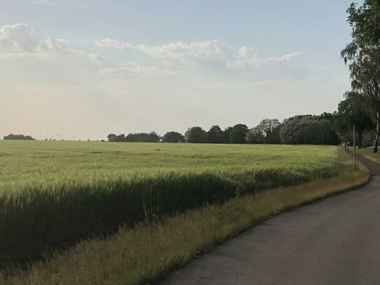 729 m² Baugrundstück für ein Einfamilienhaus (Grundstück 07)