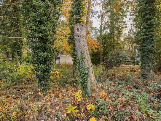 *Ihr Traum vom Eigenheim: Großzügiges Baugrundstück mit 1.135 m² in idyllischer Lage*