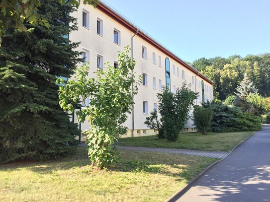 Gemütliche 2-Raum-Wohnung mit Balkon in grüner und ruhiger Lage!