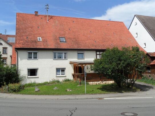 Großes gepflegtes Bauernhaus mit Pferdebox.