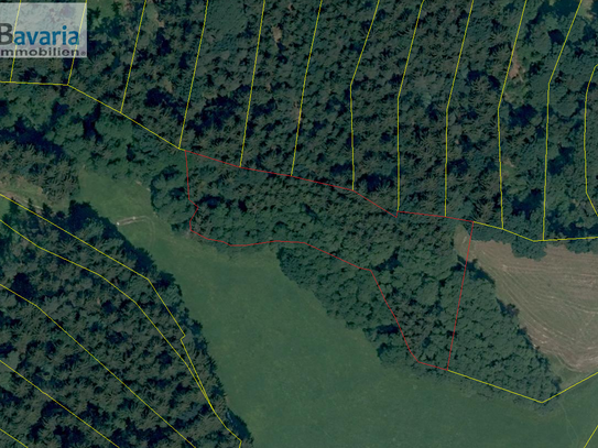 Forstgrundstück mit Waldbestand Außernzell, 5121 m²