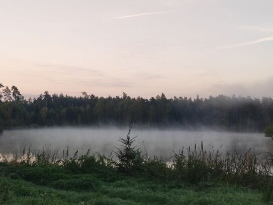 Naturnah an der Kreisstadt Schwandorf, Neubauwohnung in schöner Lage