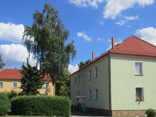 Frisch sanierte 3-Raum-Wohnung Steinstraße 13 in Bad Düben