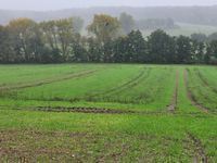 Sehr gute Landwirtschaftliche Flächen bei Kalbe (Milde) in Sachsen-Anhalt zu verkaufen