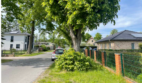 Wunderschönes Grundstück für Neubau