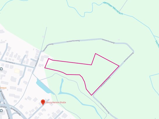 2,5 ha großes, grünes, natürliches Freizeitgrundstück in Vechta zu verkaufen