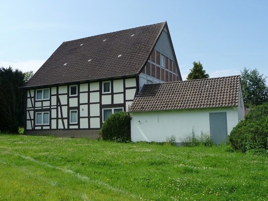 Freiraum für individuelles Wohnen ! Einfamilien-Fachwerkhaus mit großem Garten-/Natur-Grundstück in Dörentrup