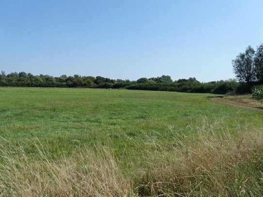 8 ha gutes Grünland bei Marklohe-Oyle