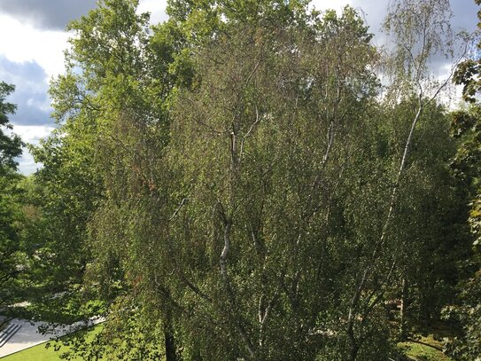 Wohnen im wunderschönen Altbau mit Grünblick