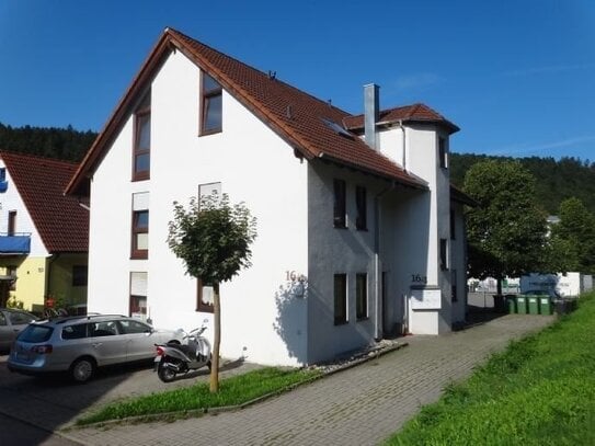 Schöne 1 Zimmer-Wohnung in Iselshausen