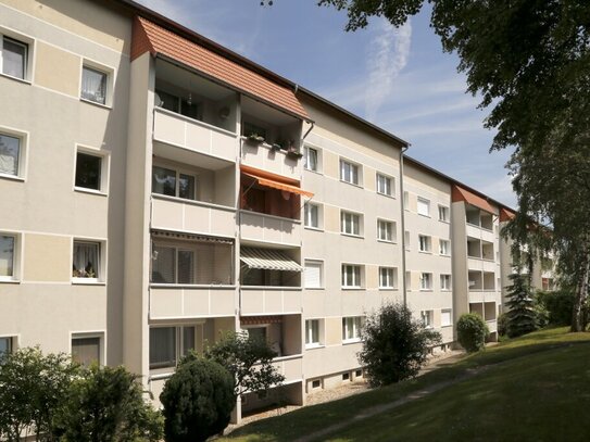 Wohnung mit Blick auf den Geiseltalsee!