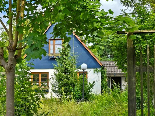 Einfamilienhaus auf großem Grundstück - sehr ruhig gelegen. ++++ 1000 m² ++++