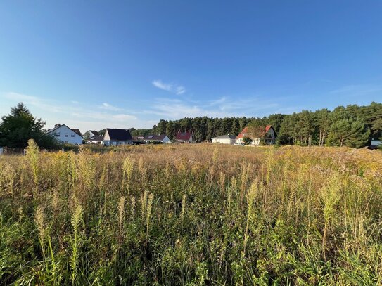 Baugrundstück in ruhiger Wohnsiedlung in Reichenwalde