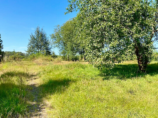 Traumhaftes Baugrundstück in idyllischer Lage